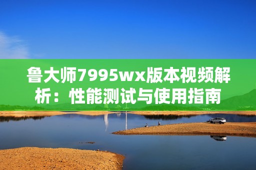 鲁大师7995wx版本视频解析：性能测试与使用指南