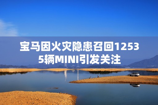 宝马因火灾隐患召回12535辆MINI引发关注