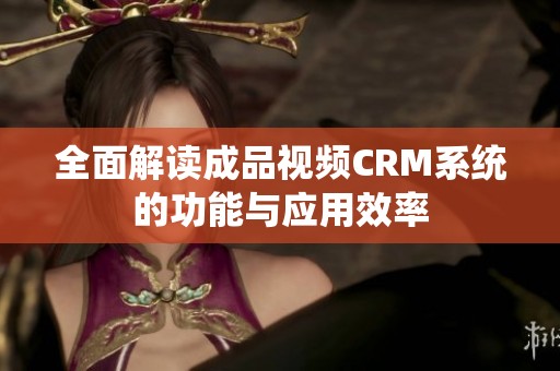 全面解读成品视频CRM系统的功能与应用效率