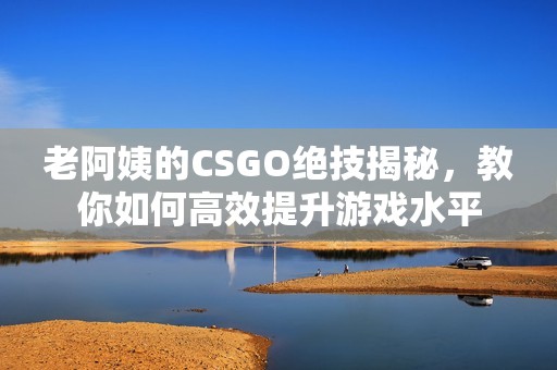 老阿姨的CSGO绝技揭秘，教你如何高效提升游戏水平