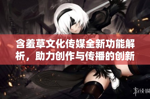 含羞草文化传媒全新功能解析，助力创作与传播的创新体验