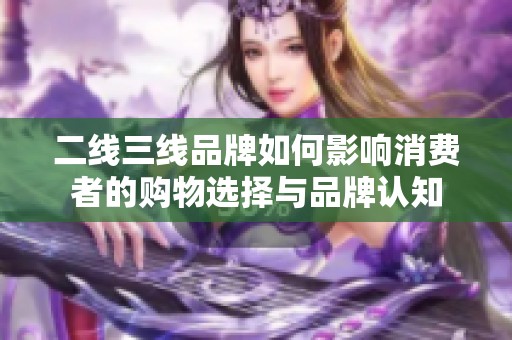 二线三线品牌如何影响消费者的购物选择与品牌认知