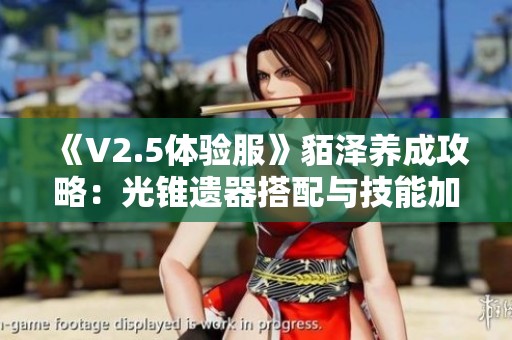 《V2.5体验服》貊泽养成攻略：光锥遗器搭配与技能加点详解