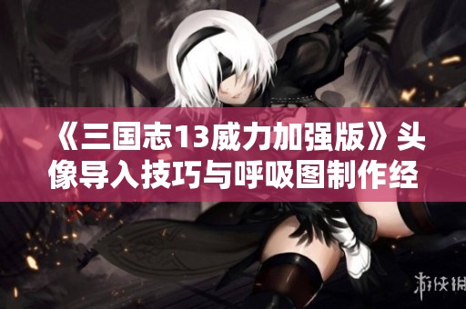 《三国志13威力加强版》头像导入技巧与呼吸图制作经验分享