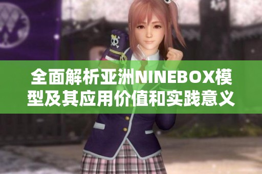 全面解析亚洲NINEBOX模型及其应用价值和实践意义