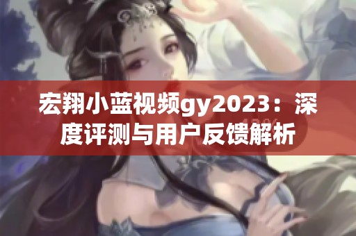 宏翔小蓝视频gy2023：深度评测与用户反馈解析