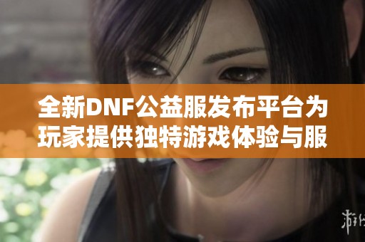 全新DNF公益服发布平台为玩家提供独特游戏体验与服务