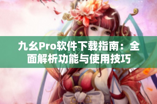 九幺Pro软件下载指南：全面解析功能与使用技巧