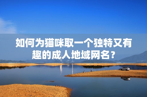 如何为猫咪取一个独特又有趣的成人地域网名？