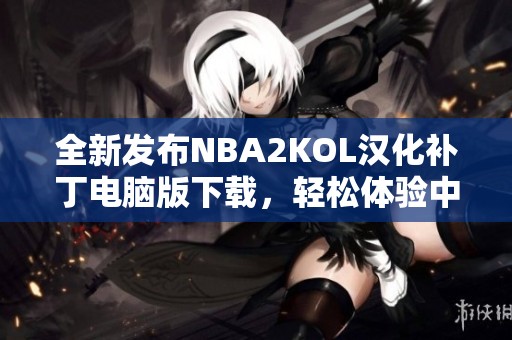 全新发布NBA2KOL汉化补丁电脑版下载，轻松体验中文游戏乐趣