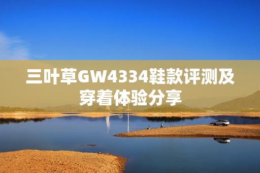 三叶草GW4334鞋款评测及穿着体验分享