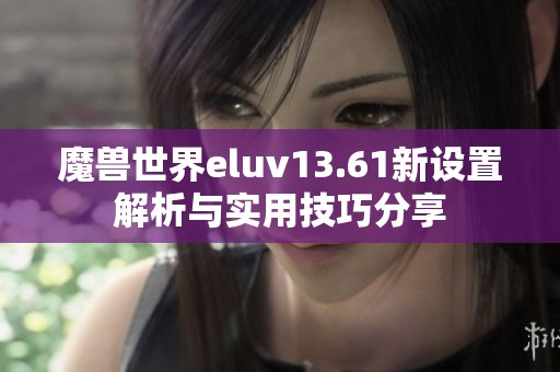 魔兽世界eluv13.61新设置解析与实用技巧分享