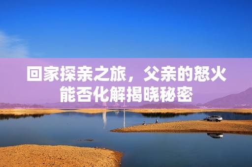 回家探亲之旅，父亲的怒火能否化解揭晓秘密