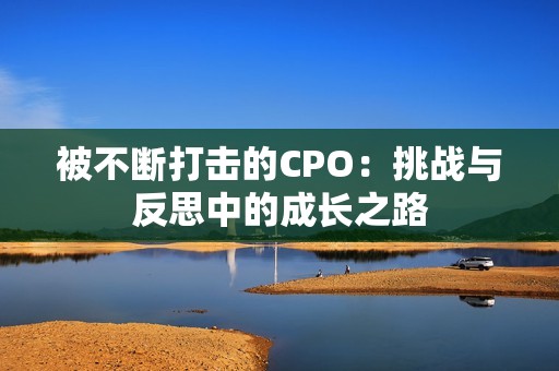 被不断打击的CPO：挑战与反思中的成长之路