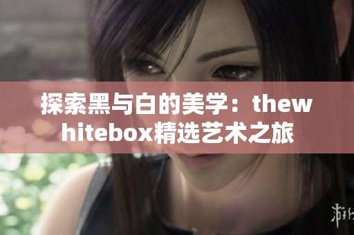 探索黑与白的美学：thewhitebox精选艺术之旅