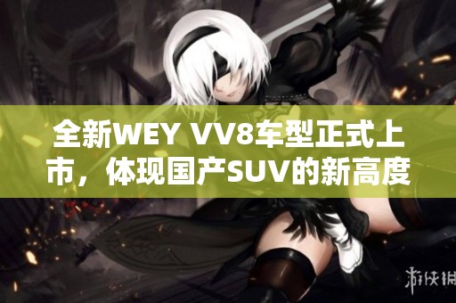 全新WEY VV8车型正式上市，体现国产SUV的新高度与实力