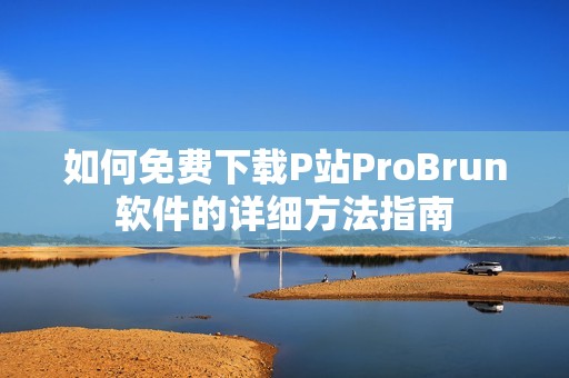 如何免费下载P站ProBrun软件的详细方法指南