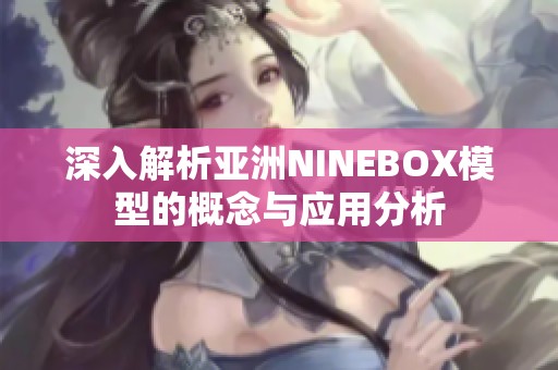 深入解析亚洲NINEBOX模型的概念与应用分析