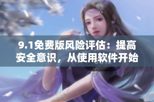9.1免费版风险评估：提高安全意识，从使用软件开始
