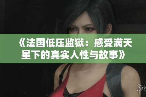 《法国低压监狱：感受满天星下的真实人性与故事》