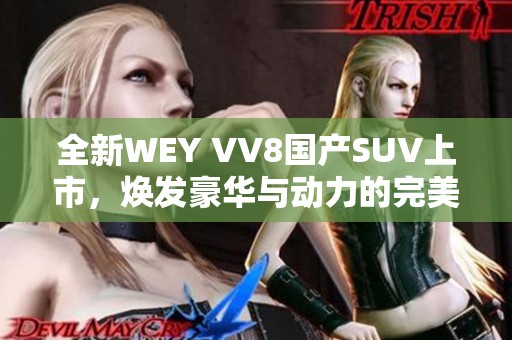 全新WEY VV8国产SUV上市，焕发豪华与动力的完美结合