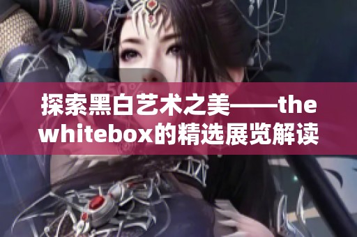 探索黑白艺术之美——thewhitebox的精选展览解读