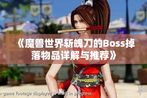 《魔兽世界斩魄刀的Boss掉落物品详解与推荐》