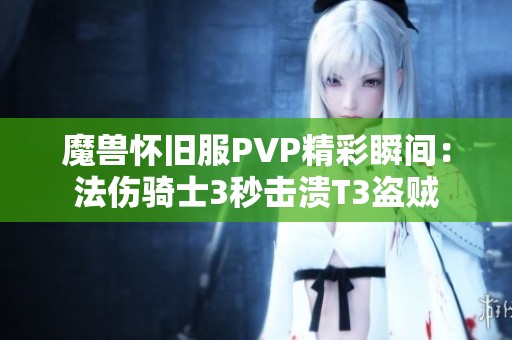 魔兽怀旧服PVP精彩瞬间：法伤骑士3秒击溃T3盗贼