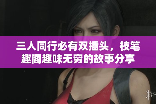 三人同行必有双插头，枝笔趣阁趣味无穷的故事分享