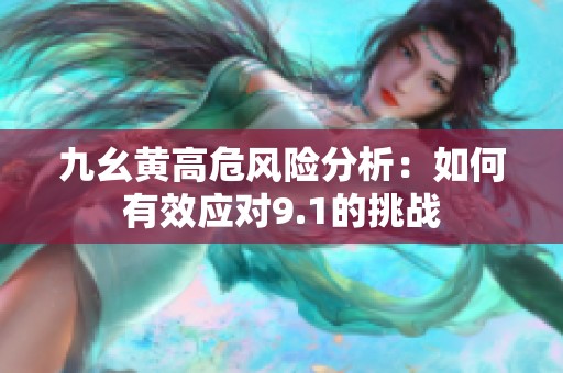 九幺黄高危风险分析：如何有效应对9.1的挑战