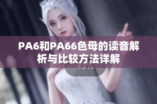 PA6和PA66色母的读音解析与比较方法详解