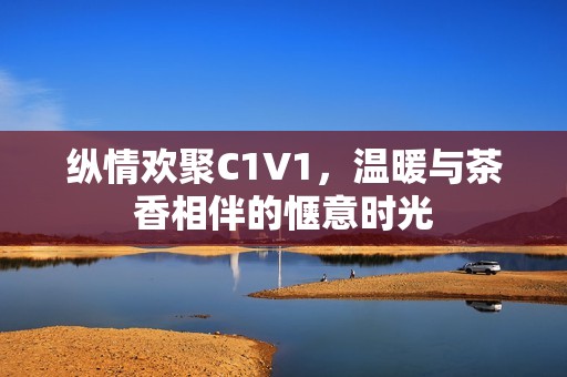 纵情欢聚C1V1，温暖与茶香相伴的惬意时光