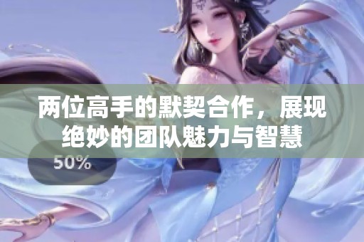 两位高手的默契合作，展现绝妙的团队魅力与智慧