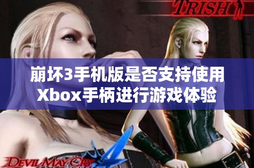 崩坏3手机版是否支持使用Xbox手柄进行游戏体验