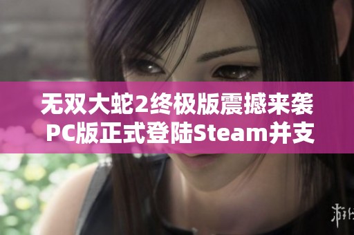 无双大蛇2终极版震撼来袭 PC版正式登陆Steam并支持中文