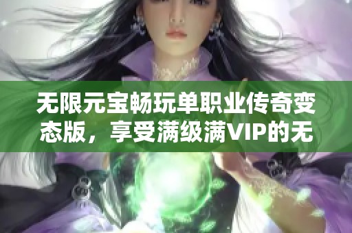 无限元宝畅玩单职业传奇变态版，享受满级满VIP的无尽乐趣