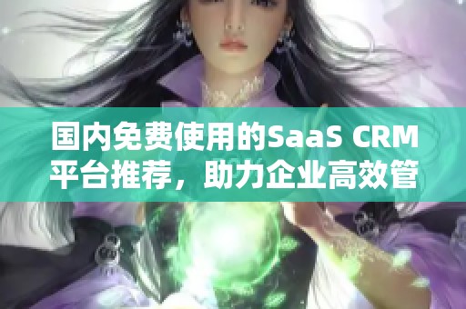 国内免费使用的SaaS CRM平台推荐，助力企业高效管理客户关系