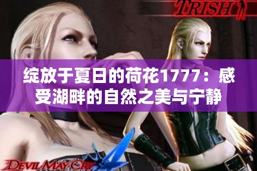 绽放于夏日的荷花1777：感受湖畔的自然之美与宁静