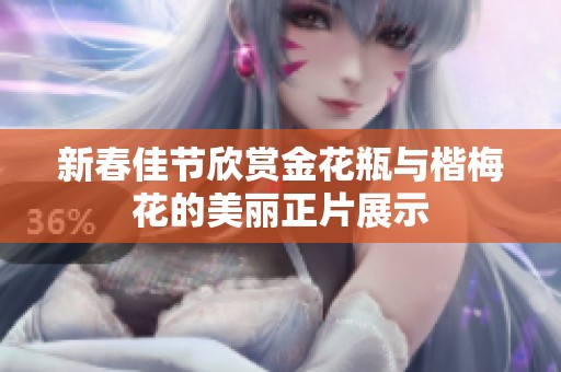 新春佳节欣赏金花瓶与楷梅花的美丽正片展示