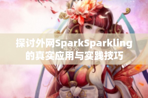 探讨外网SparkSparkling的真实应用与实践技巧