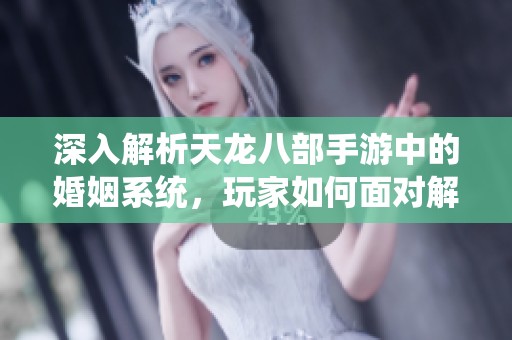 深入解析天龙八部手游中的婚姻系统，玩家如何面对解除婚姻的可能性与选择