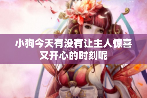 小狗今天有没有让主人惊喜又开心的时刻呢