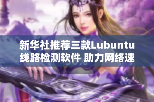 新华社推荐三款Lubuntu线路检测软件 助力网络速度优化的最佳选择