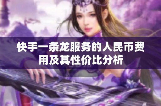 快手一条龙服务的人民币费用及其性价比分析