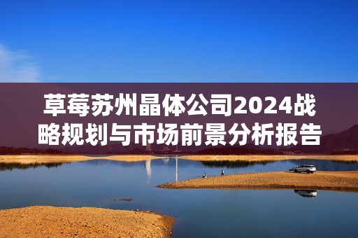 草莓苏州晶体公司2024战略规划与市场前景分析报告