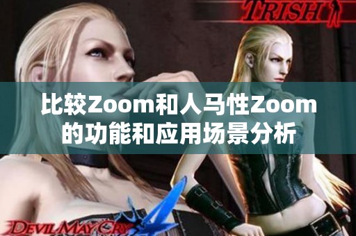 比较Zoom和人马性Zoom的功能和应用场景分析