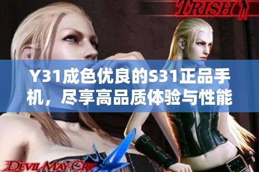 Y31成色优良的S31正品手机，尽享高品质体验与性能提升