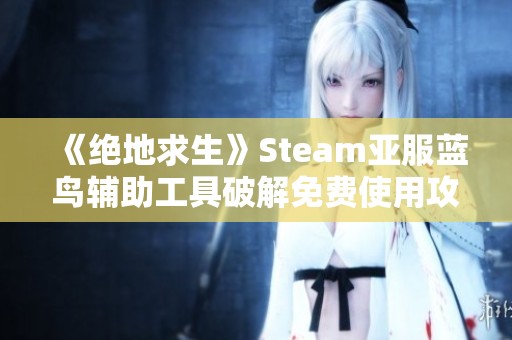 《绝地求生》Steam亚服蓝鸟辅助工具破解免费使用攻略分享