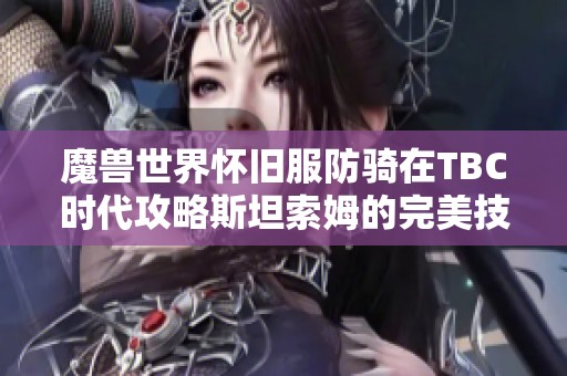 魔兽世界怀旧服防骑在TBC时代攻略斯坦索姆的完美技巧分享