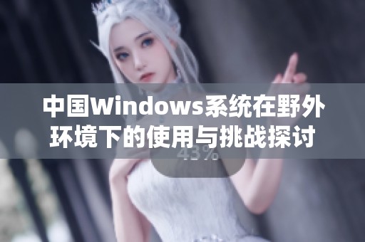 中国Windows系统在野外环境下的使用与挑战探讨